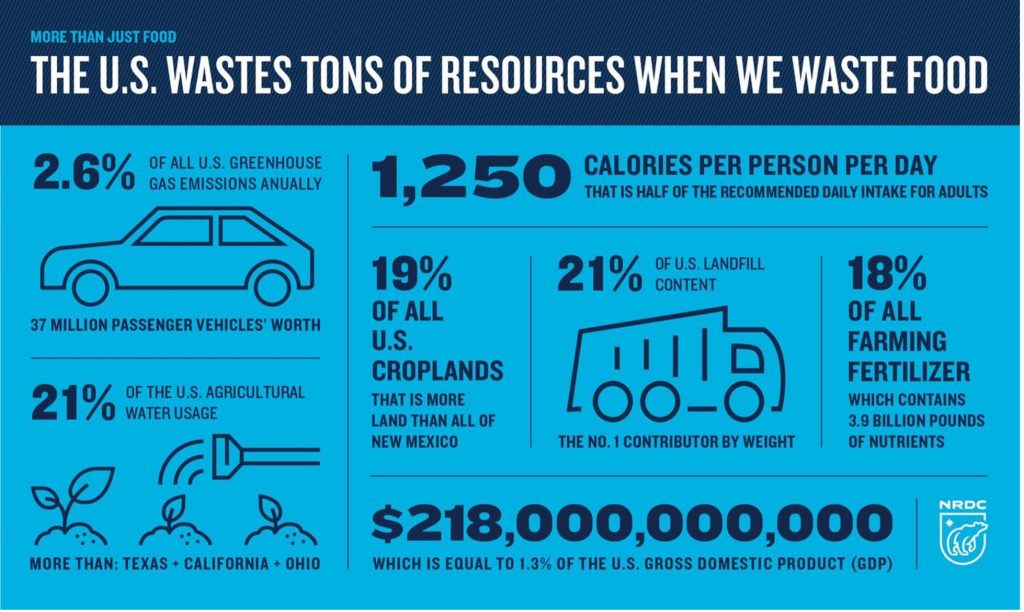 Wasting Resources When Wasting Food in the U.S. - Stop Wasting Money Tips