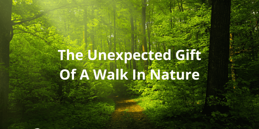 The Unexpected Gift Of A Walk In Nature